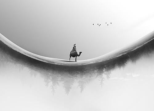 Misty Camel Journey Art Print by Hadi Malijani Malenjani