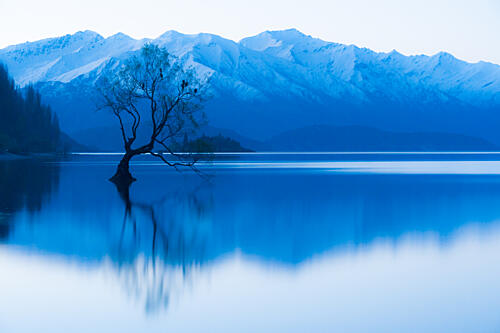 Lone Tree Lake Reflection Art Print by Hugh Warren