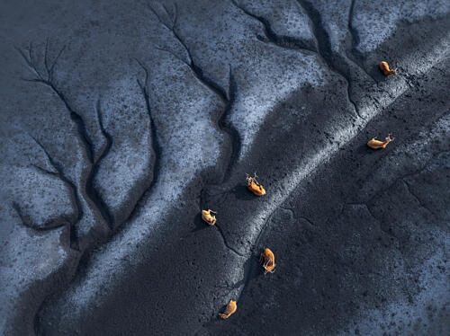 Reindeer River Delta Art Print