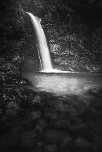 Serene Forest Waterfall Art Print