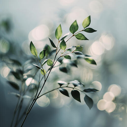 Bokehbotanicsno04 Art Print