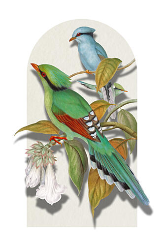 Colorful Birds on Branch Art Print
