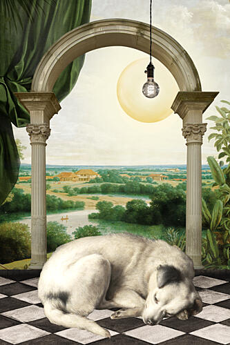Serene Dog Archway Dream Art Print