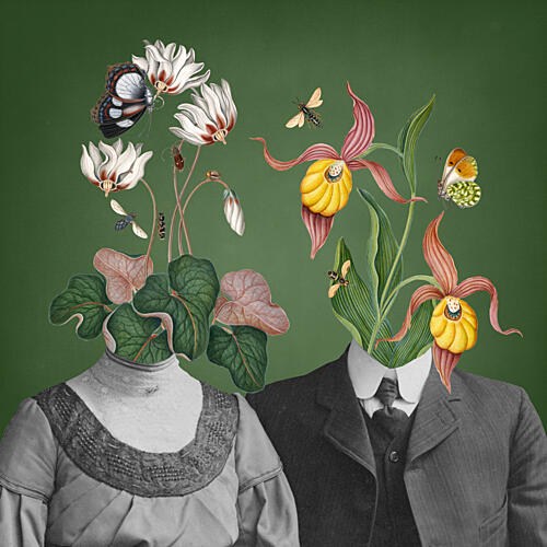 Vintage Botanical Dreams Art Print