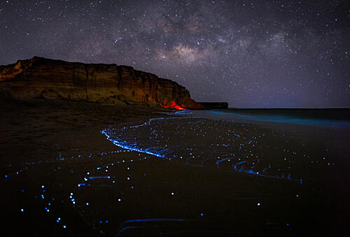 Bioluminescent Night Beach Art Print by Khalid Jamal