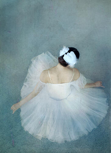 Elegant Ballerina Swan Art Print