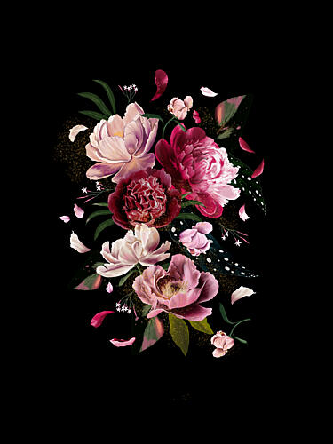 Peonies Blooms in Black Art Print