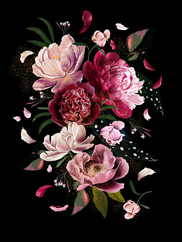 Pink Peonies Explotion Black Artwork Art Print by Anis Illustration