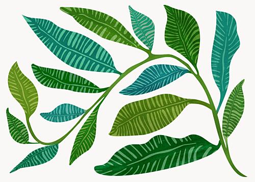 Lets Go Botanical Art Print