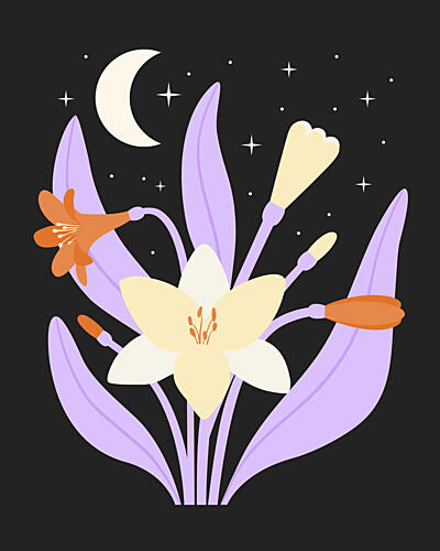 Celestial Night Blooms Art Print