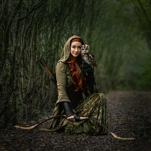 Fantasy Archer with Owl Art Print