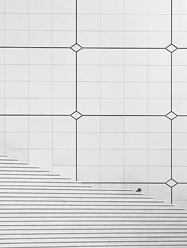 Bird on Geometric Staircase Art Print by Frank Bruynseraede