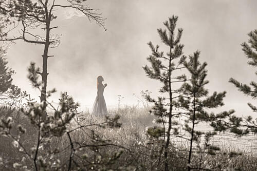 Misty Bog Solitude Art Print