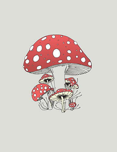 Fairytale Mushroom Cluster Art Print