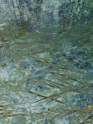 Clear Water Reflections Art Print