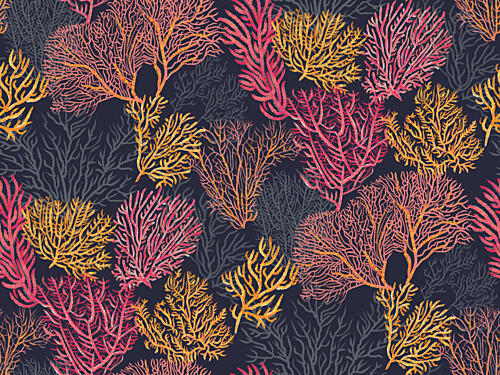 Colorful Coral Pattern Art Print
