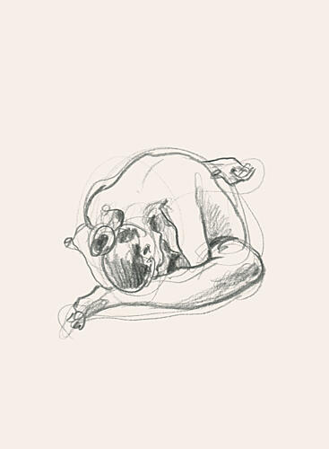 Quiet Curled Figure Figuratif reproduction