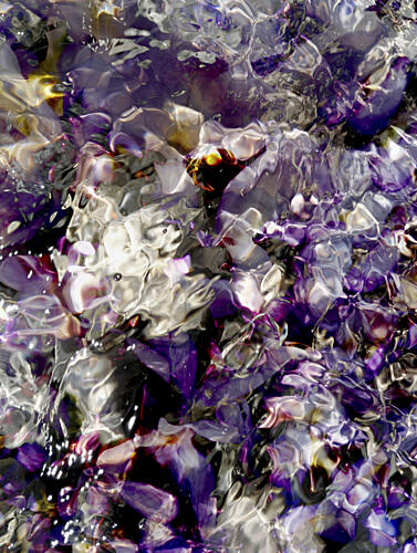 Purple Water Ripples Art Print