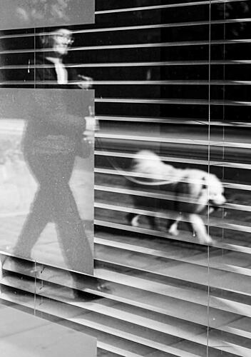 Reflected Street Walk Art Print by Anna Niemiec