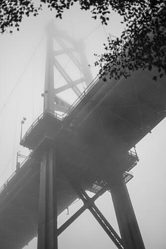 Towering Bridge in Mist Art Print
