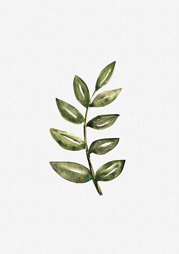 Delicate Green Foliage Art Print by Olena Kovalova