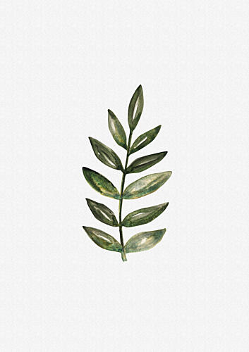 Watercolor Olive Branch Art Print by Olena Kovalova
