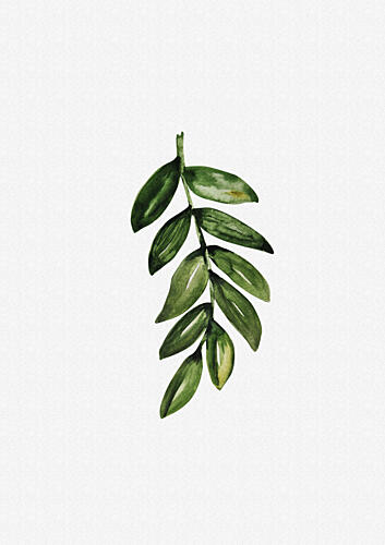 Watercolor Green Botanical Sprig Art Print by Olena Kovalova