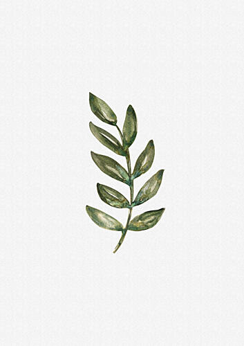 Green Botanical Branch Art Print by Olena Kovalova