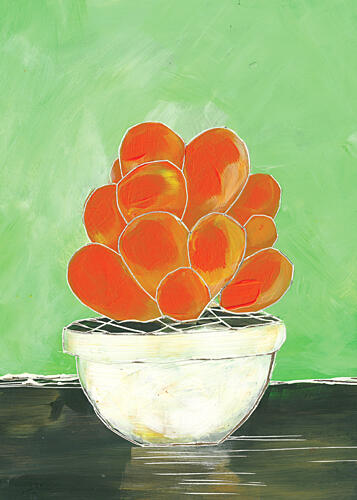 Vibrant Potted Succulent Still Life Print