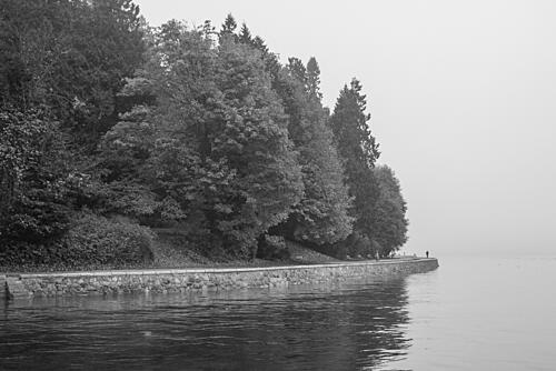 Misty Lakeside Path Art Print