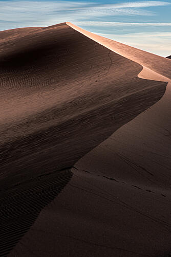 Golden Desert Dune Art Print by Unknown