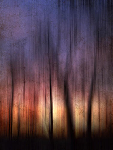Abstract Forest Sunset Art Print