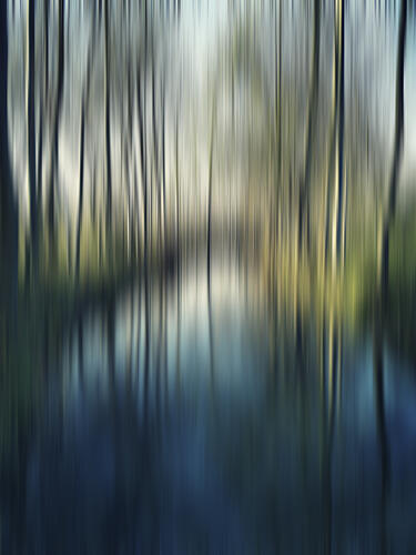 Blurred Forest Reflections Art Print