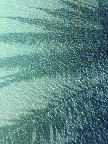 Sunlit Water Patterns Art Print