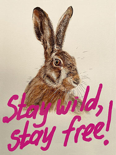 Stay Wild Stay Free Hare Art Print