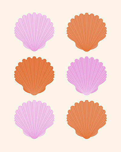 Pastel Sea Shell Collection Art Print