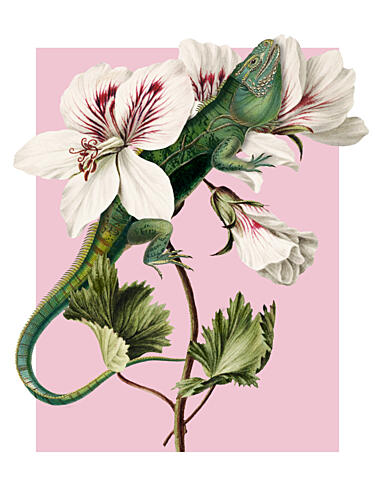 Green Lizard Pink Bloom Art Print