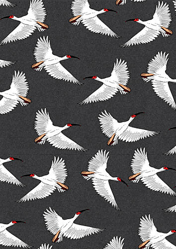 Graceful White Birds Flying Art Print