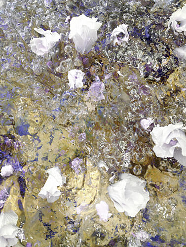 Dreamy Floral Reflections Art Print