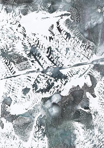 Ethereal Winter Foliage Art Print