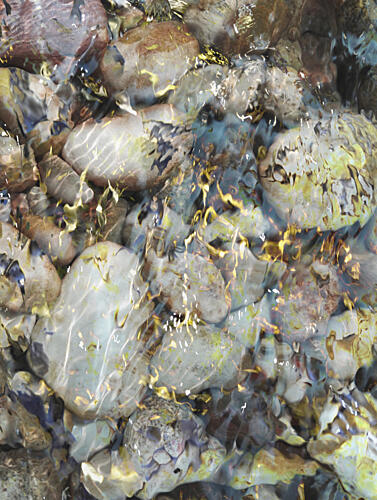 Pebbles in Clear Water Art Print