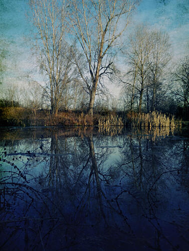 Tranquil Winter Reflections Art Print