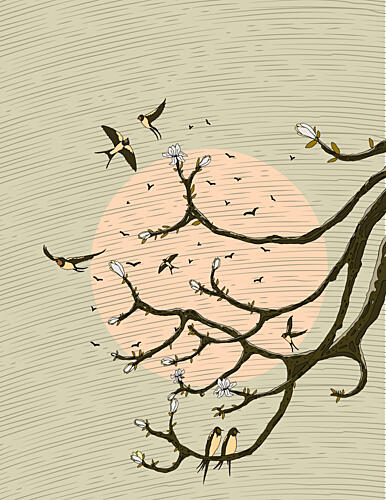 Oriental Swallows Bloom Art Print