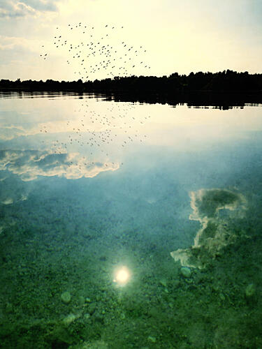 Birds over Tranquil Lake Art Print
