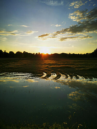 Golden Hour Reflections Inspirant reproduction