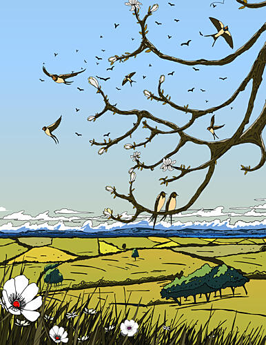 Swallows over Spring Fields Art Print