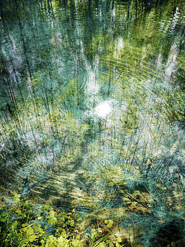 Rippling Forest Reflection Art Print