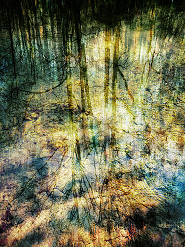 Abstract Forest Reflections Art Print