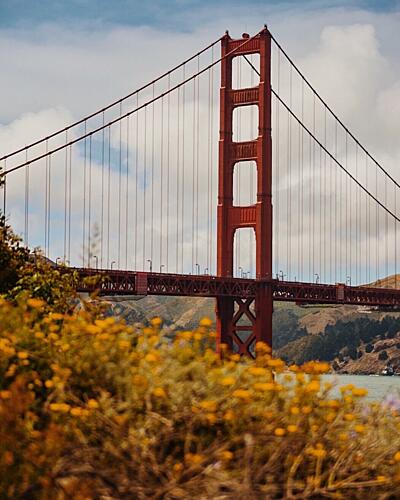 San Francisco Golden Gate Bridge Art Print