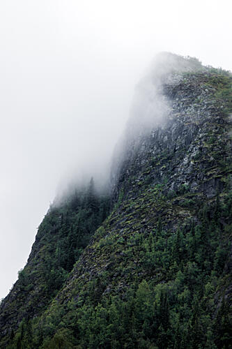 Misty Mountain Forest Art Print